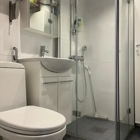 Ski-in Vuosselin Helmi C11 - 2x Hissiliput דירה *